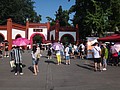 DSC07901.JPG