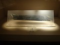 DSC07932.JPG