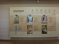 DSC07941.JPG