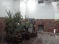 DSC07965.JPG