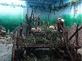 DSC07966.JPG