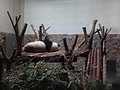 DSC07968.JPG