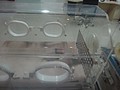 DSC07969.JPG