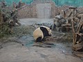 DSC07975.JPG