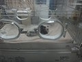 DSC07978.JPG