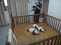 DSC07980.JPG