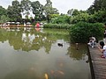 DSC07983.JPG