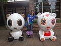 DSC07990.JPG