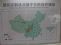 DSC07994.JPG