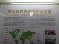 DSC07995.JPG