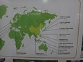 DSC07996.JPG