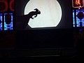 DSC08071.JPG