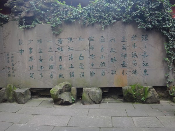 DSC08184.JPG
