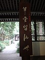 DSC08155.JPG
