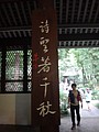 DSC08156.JPG