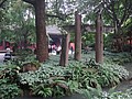 DSC08183.JPG