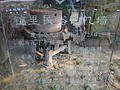 DSC08196.JPG