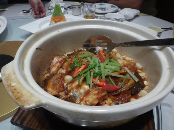 DSC08207.JPG