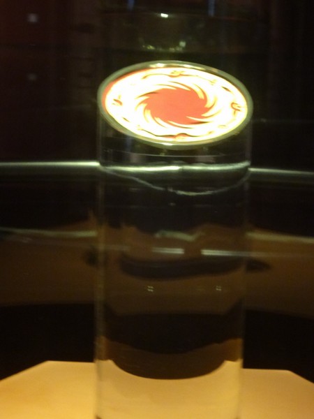 DSC08243.JPG