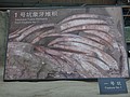 DSC08222.JPG