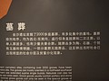 DSC08238.JPG