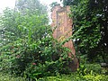 DSC08258.JPG