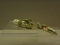 DSC08273.JPG