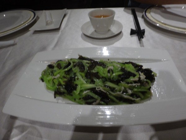 DSC08489.JPG