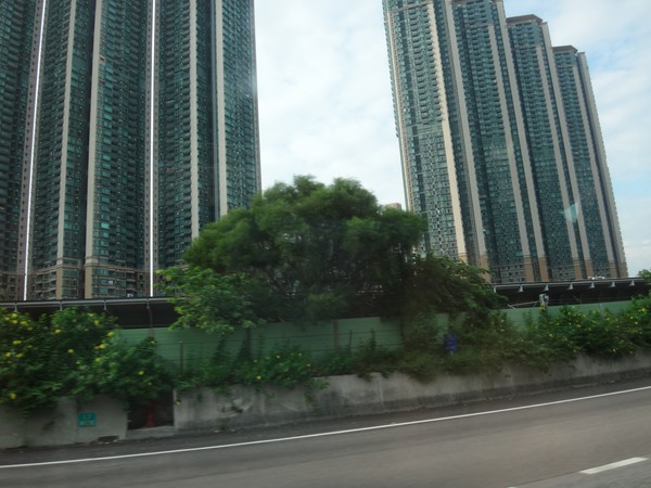 DSC08494.JPG