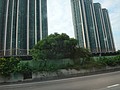 DSC08494.JPG