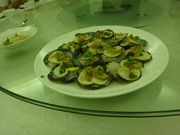 DSC08573.JPG