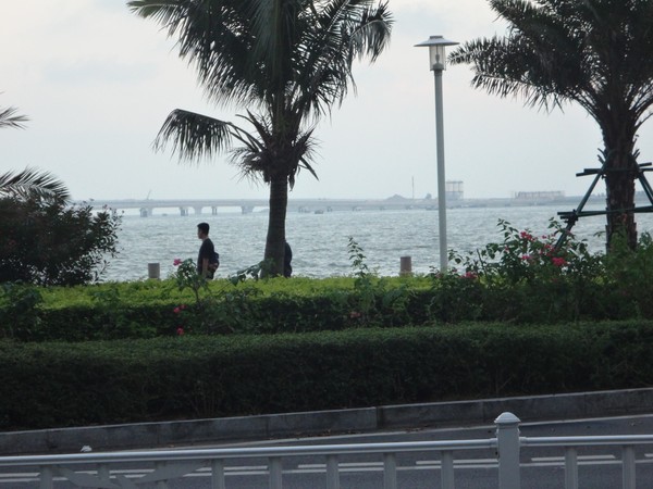DSC08592.JPG
