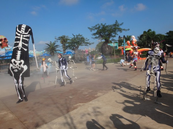 DSC08656.JPG
