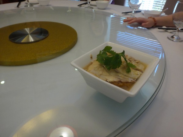 DSC08676.JPG