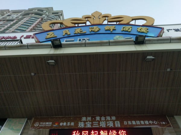 IMAG0042.jpg
