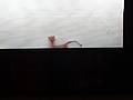 DSC08550.JPG