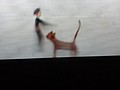 DSC08552.JPG