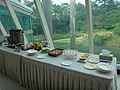 DSC08586.JPG