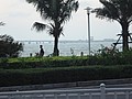 DSC08592.JPG