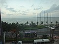 DSC08596.JPG