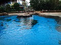 DSC08613.JPG