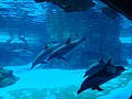 DSC08614.JPG