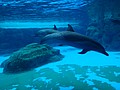DSC08615.JPG