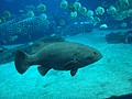DSC08635.JPG