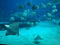 DSC08636.JPG