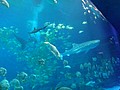 DSC08638.JPG