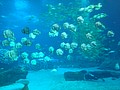 DSC08639.JPG