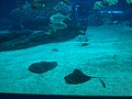 DSC08641.JPG