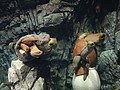 DSC08648.JPG