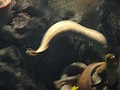 DSC08651.JPG